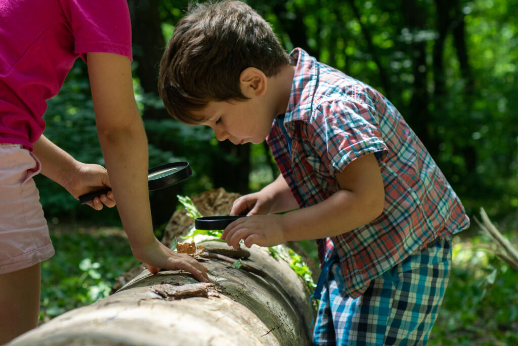 ChildrenIsLookingAtTreeLeavesThroughMagnifierOutdoorShoot | こどもクリエ塾|表参道・白金台・日本橋・文京茗荷谷・四谷の民間学童保育