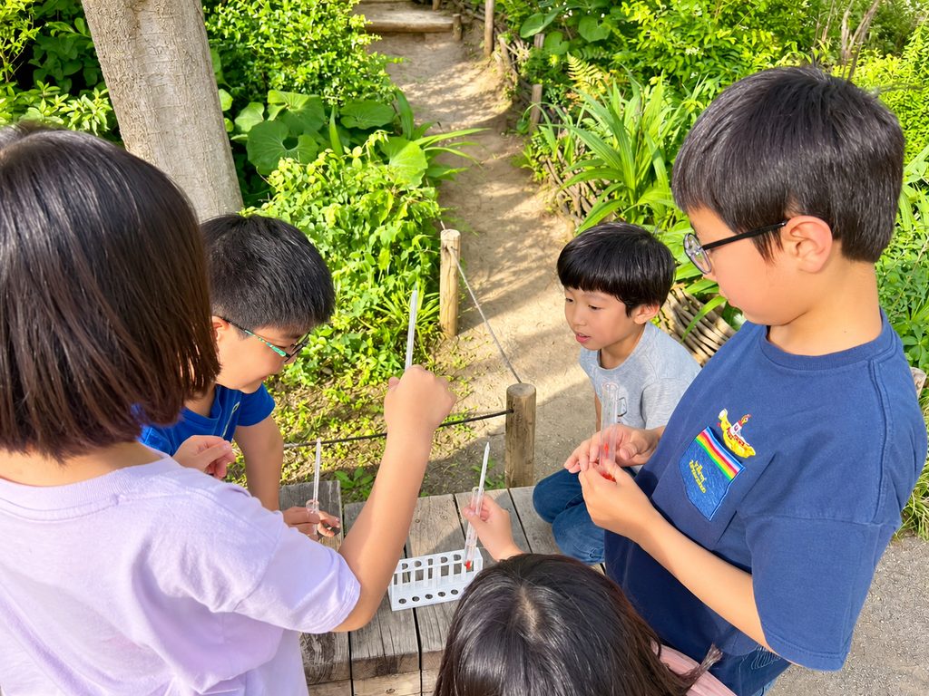 青南小学童|放課GO→クラブと併用・送迎・22時まで|表参道校 9 表参道校の理科実験教室・中級コース。ののあおやまなど近隣公園での野外研究も